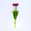 Real Touch Tulpe 'Paeonia' Bund x5 L43cm lila