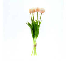 Real Touch Tulpe 'Pfingstrose' Bund x5 L43cm champagner