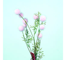 Platanus-Spray L82cm pink