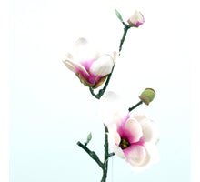 Magnolie L41cm rosa