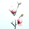 Magnolie L41cm rosa