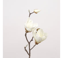 Magnolie L41cm weiß