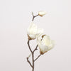 Magnolie L41cm weiß