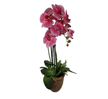 Orchid 3 branches + Fern in ceramic pot H68cm Pink