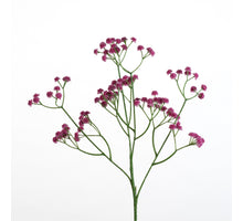 Schleierkraut-Spray L62cm d.rosa