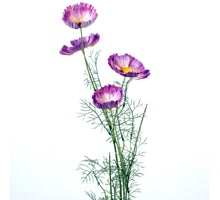 Papaver spray x6 L101cm purple