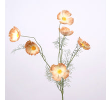 Papaver-Spray x6 L101cm pfirsich