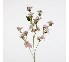 Blossom Meadow L87cm purple