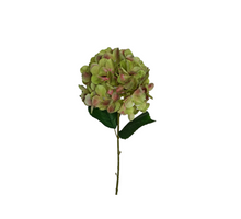 Hydrangea L65cm green