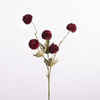 Gompy Spray x5 L51cm d.rot