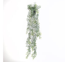 Acacia Hanging Plant in  Pot Green 91cm