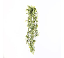 Button Leaf Hanging Plant in Pot Green 91cm