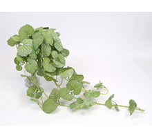 Pelargoniumhanger wir/groen 65cm