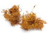 Florentus Orchideenerde 5 Liter