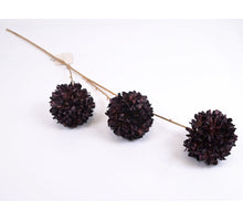 Bolchrysant spray darkbrown 86cm