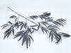 Bambusspray schwarz 100cm