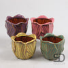BLOEMPOT FLOWER SAMMIE 4 SPRING KLR ASS 12.5X12.5X10 CM KERA