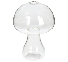 Vase Pilz Glas Klar 9.5x9.5x13cm