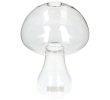Vase Pilz Glas Klar 12.5x12.5x17.5cm