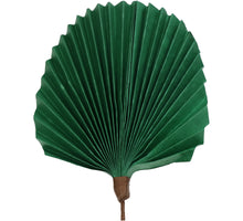 Blatt Zweig Papier Grün 55cm