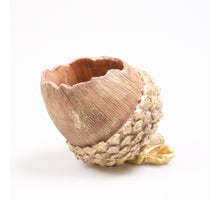 EICHEL BLUMENTOPF GOLD 14X12X10 CM - POLYRESIN