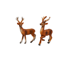 RENTIER POLY NATUR 11X6X15 CM