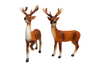 RENTIER POLY NATUR 20X10X22 CM