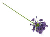 Agapanthus lila 73cm