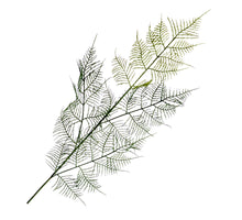 Asparagus Spray Green 80cm