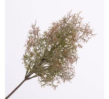 Cotinus Spray Green  53cm