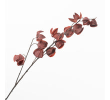 Physalis Spray Burgundy 85cm