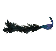 Ornament Pfauenfeder Blau 55cm