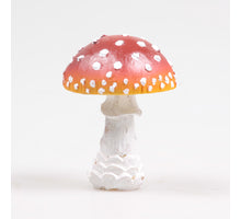 Pilz-Derby 8x8x10 cm Polyester