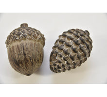EIKEL/DENNENAPPEL S EARTH 8x8x8cm ASSORTION