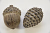 EIKEL/DENNENAPPEL S EARTH 8x8x8cm ASSORTION