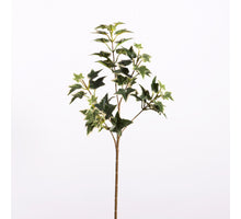 Efeublatt L55cm Bunt