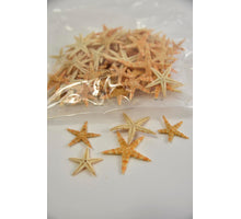 Sugar starfish 2-3cm naturel 100pcs