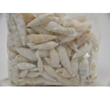 Schale Cerithium Vertagus 1kg