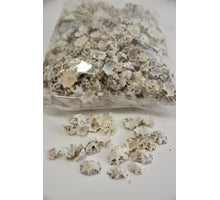 Muschel Patella Sacharina 1kg