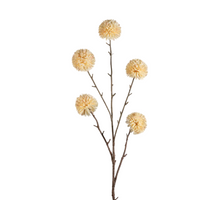 Pompom XL x5 L100cm cream