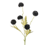 Gompy spray x5 L51cm black