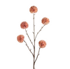 Pompom XL x5 L100cm peach