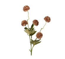 Gompy spray x5 L51cm brown