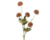Gompy spray x5 L51cm brown