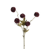 Gompy spray x5 L51cm bordeaux