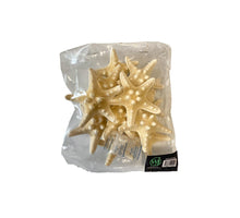 Knobby starfish bleached 5-7cm 12pcs