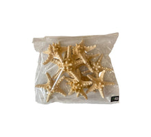 Knobby starfish bleached 15-20cm 10pcs