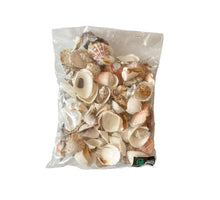 Shell mix ''Large'' 1KG