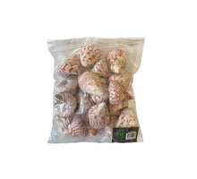 Trochus maculatus 500gr