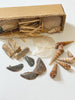 Shell mixbox 28x9x8cm natural